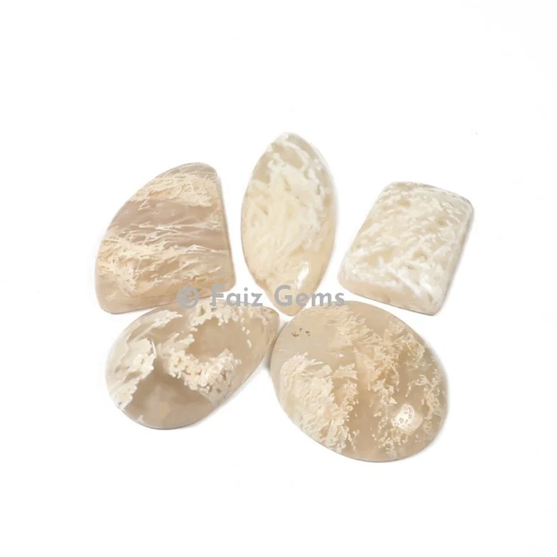 Scolarsite Cabochons