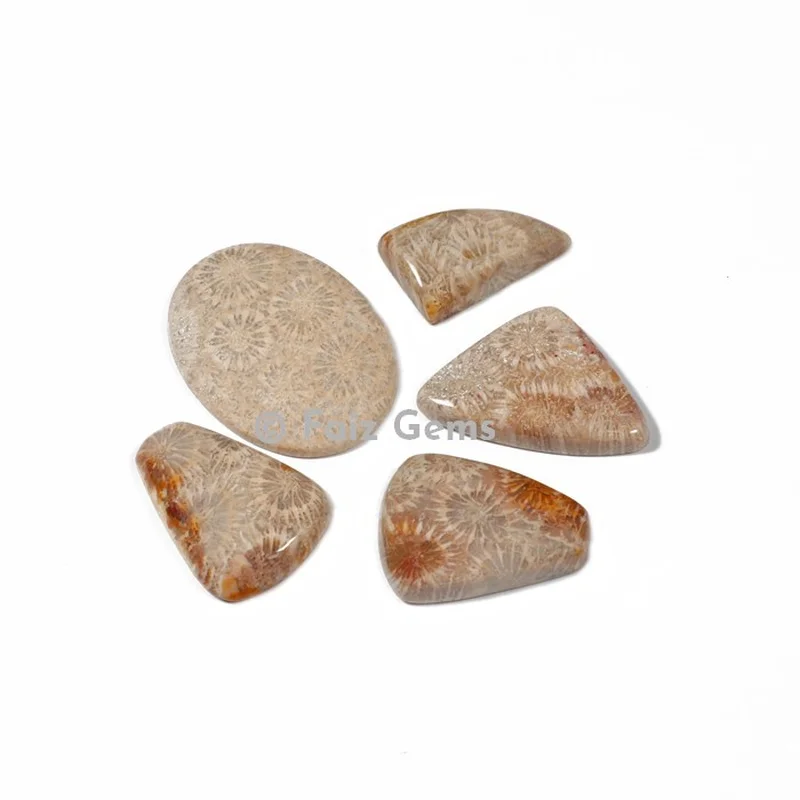Fossil Coral Cabochons