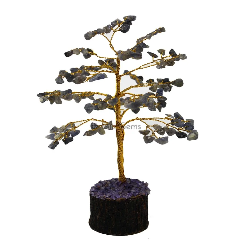 Iolite Golden Wire Tree(150 Chips)